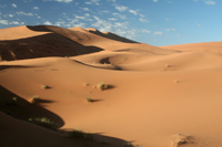 Dunes Erg Chebbi